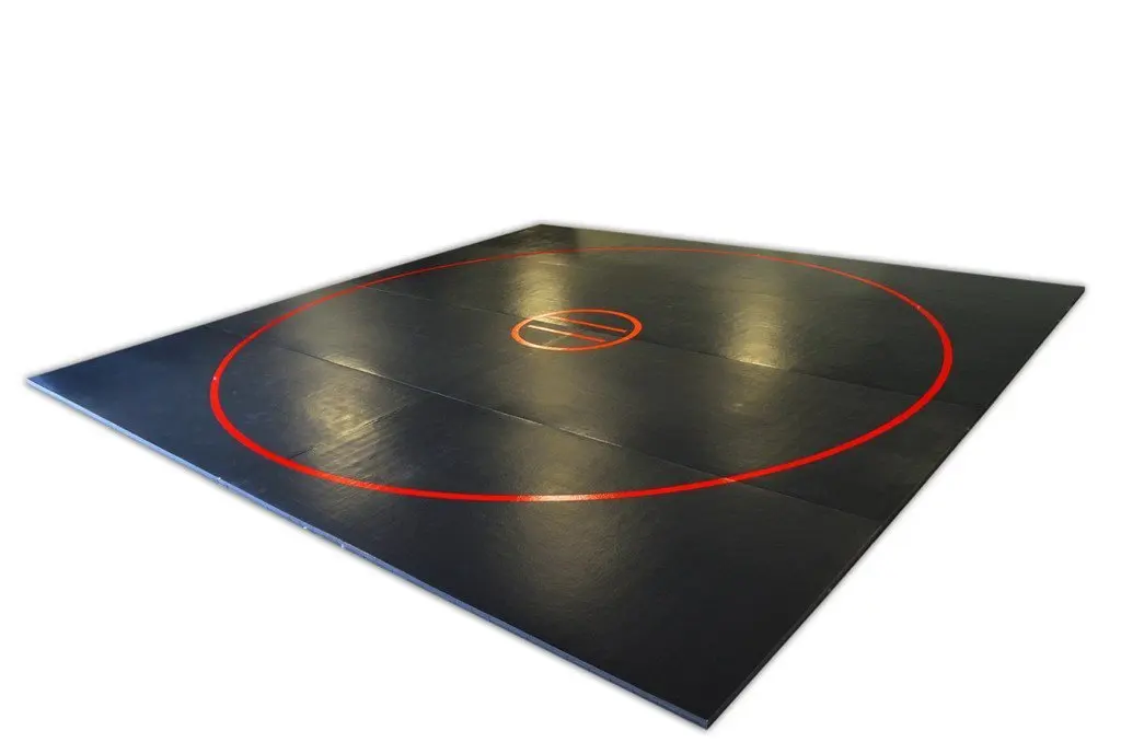 Cheap The Wrestling Mat, find The Wrestling Mat deals on line at