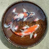 VIET NAM IMPORT 3D FISH PAINTINGS best high quality (whatsapp +0084 845639639)