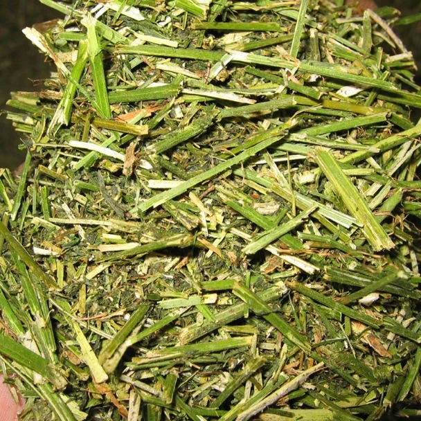 
Alfalfa Hay Bales Lucerne 