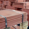 99.99% Pure Copper Cathode From Tanzania , copper cathode 99.99% price