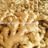 FRESH GINGER big size