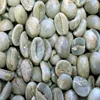 Robuster Coffee Beans Grade GG (Screen Size 17 -18) for Sale