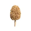 Natural Dry Grass Big & Small Size Bonsai Tree For Wedding Decoration