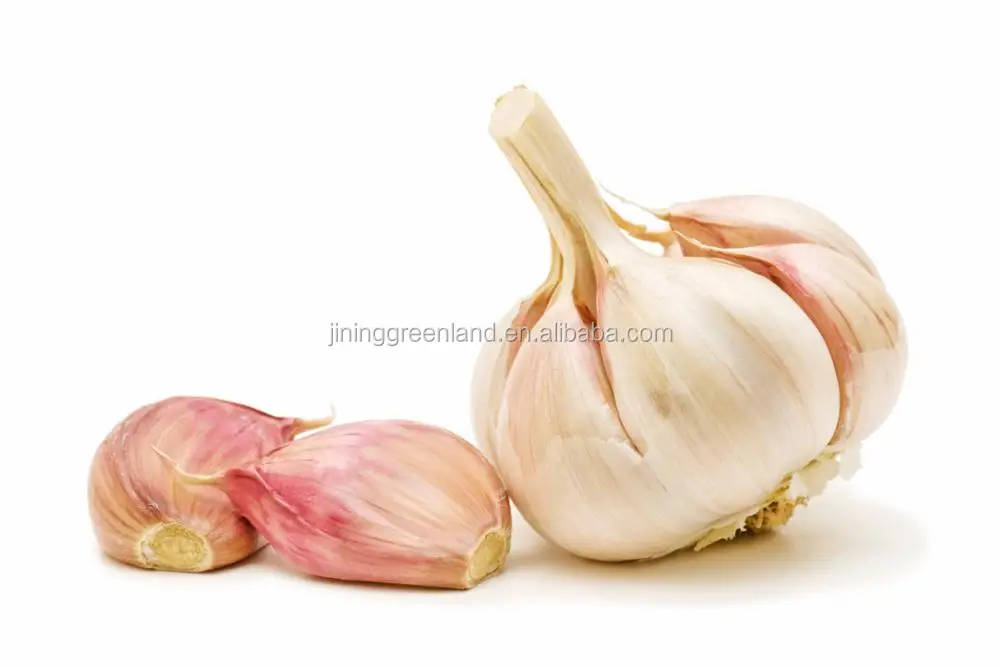 fresh vegetables black garlic price buy in china from colombia