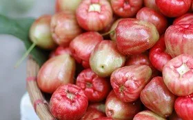 fresh rose apple - vietnamese special fresh bell fruit