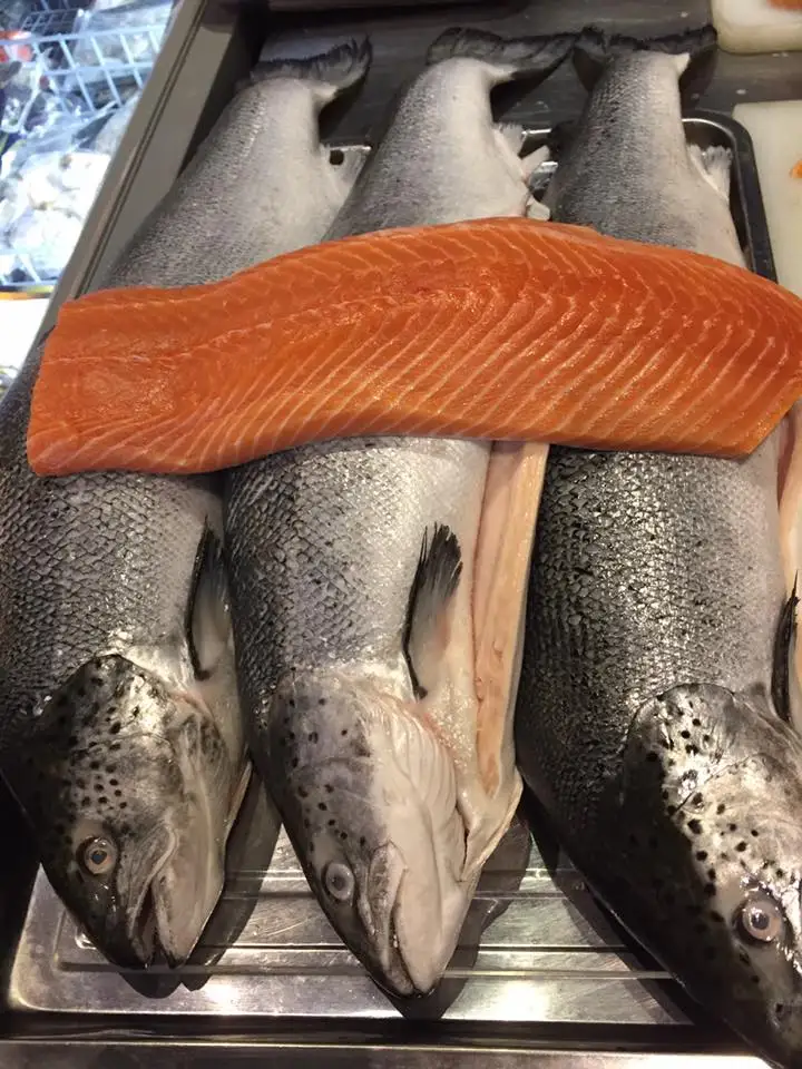 fresh atlantic salmon,hg chum salmon - buy frozen atlantic