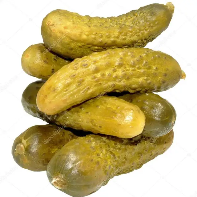 vietnam natural fresh salted pickled cucumbers gherkins in drum