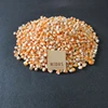 Highest Quality Yellow Corn