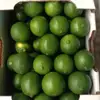Green Lemon and Fresh lime