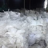 LDPE Film Scrap, Post Industrial, Natural Color