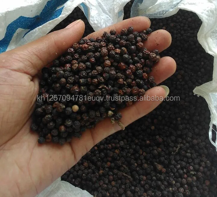 Organic Cambodian Black Pepper Rare Cambodian Whole Peppercorns Black