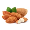Bitter Almond Essential Oil at Wholesale Price