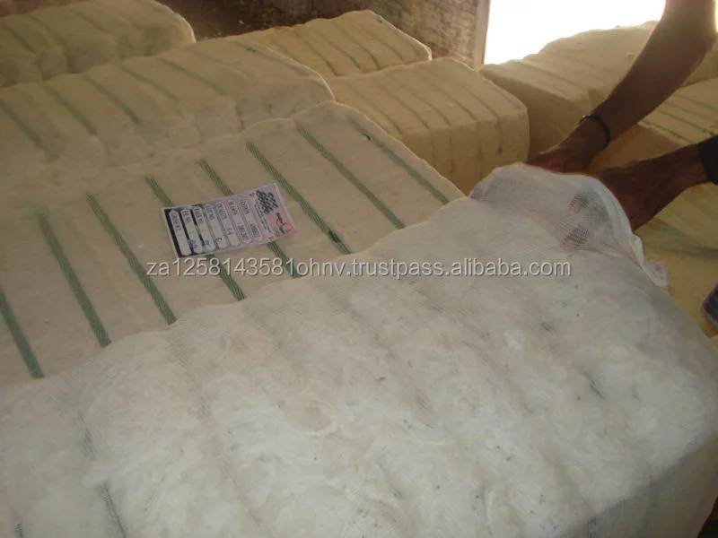 cotton 3.jpg