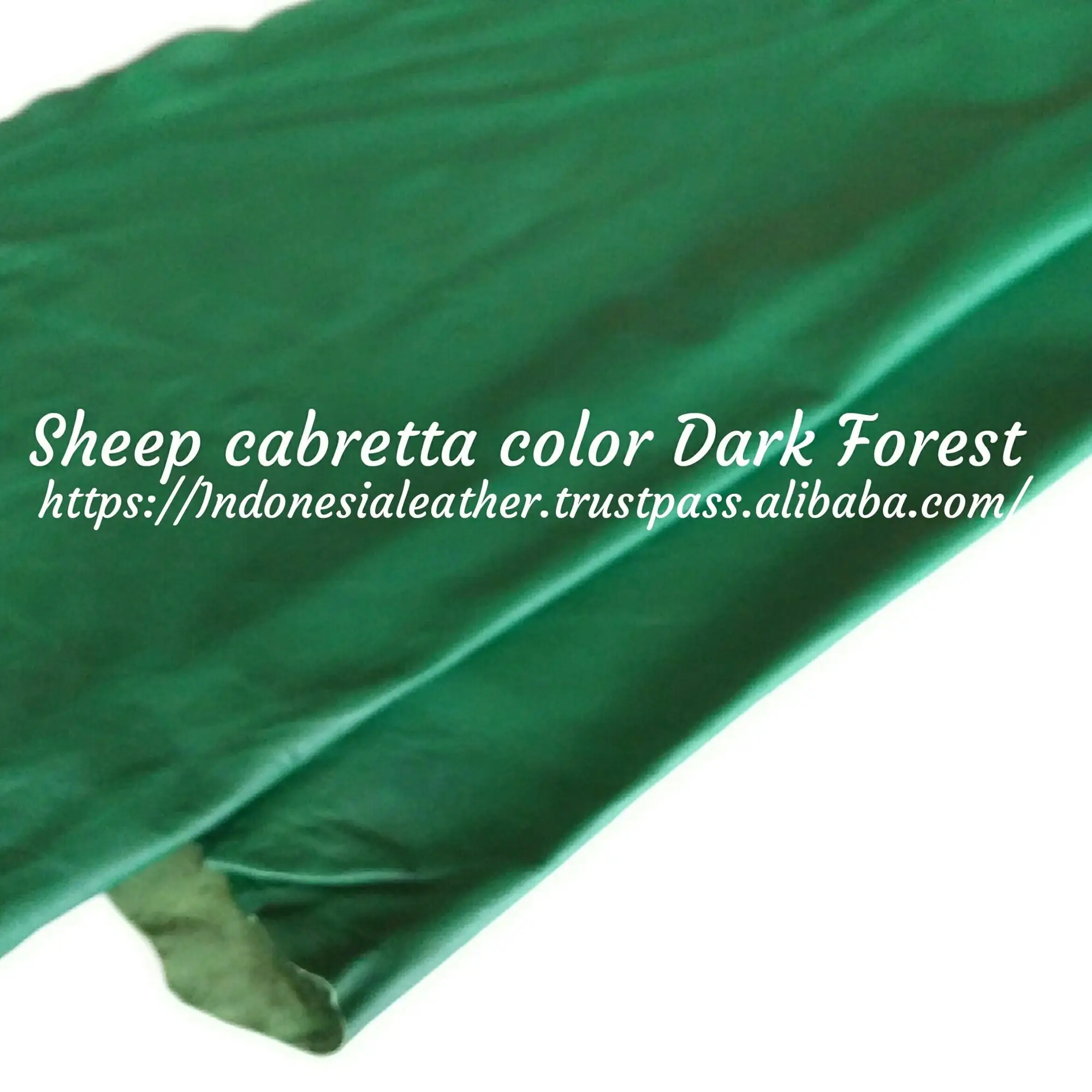 sheep cab col. dark forest.jpg