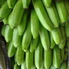 Order Cavendish Bananas,Pineapples,Plantains,Mangoes,Lemons,Avocados and more tropical fruits.
