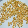 Animal Feed Dried yellow Corn