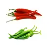 /product-detail/dry-and-fresh-chili-pepper-green-red--62006672378.html