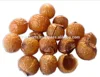 Himalayan Soap Nuts from Nepal, Soap Nuts shells bulk supplier