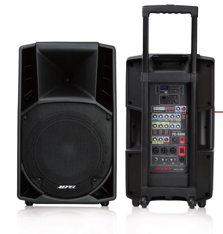 Stage Speaker System (various Speakers) Professional Speaker