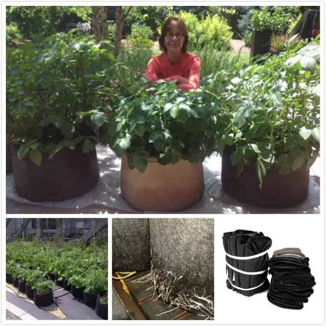 1 2 3 5 7 10 Gallon Aeration Fabric Pots W Handles Breathable 10 Gallon Aeration Fabric Pots