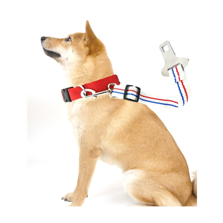 Rubber Tie Down Leash Dog Collar 