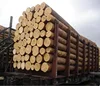 Veneer logs,Southern Yellow Pine,Oak/Ash/Beech/hornbeam/Alder/Birch.