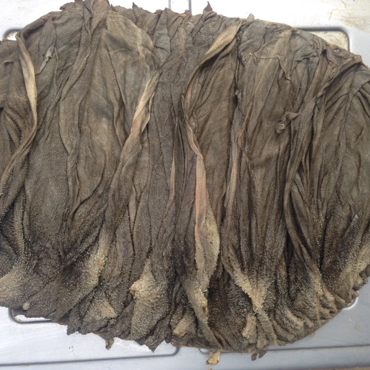 brazil salted omasum