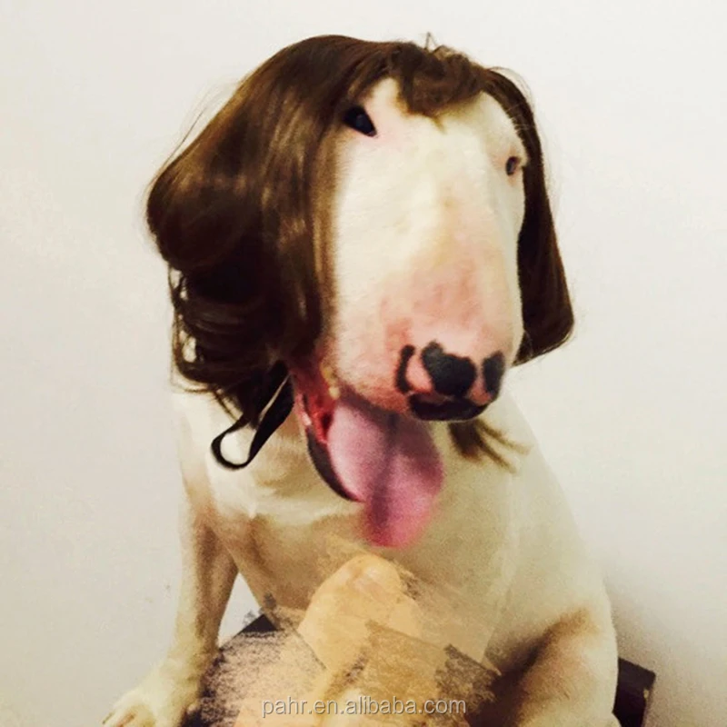 dog wigs