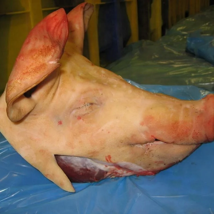 frozen-pork-heads.jpg