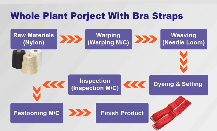 test-wholeplant-bra straps