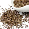 Factory price cassia tora seeds from India