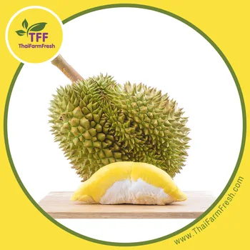 Premium Fresh Durian,Monthong Varitey,Eastern Thailand - Buy Fresh ...