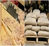 Rubber Wood Pellets / Pine and Oak Woods Pellets