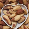 Cheap Brazil Nuts 100% Natural