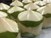 Fresh Coconut from farmers commit orginial from Viet Nam and Viet Nam quanlity