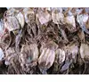 DRIED BLACK SQUID FROM VIETNAM - CHEAP PRICE