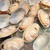 Healthy Shellfish Frozen Short Necked Clam