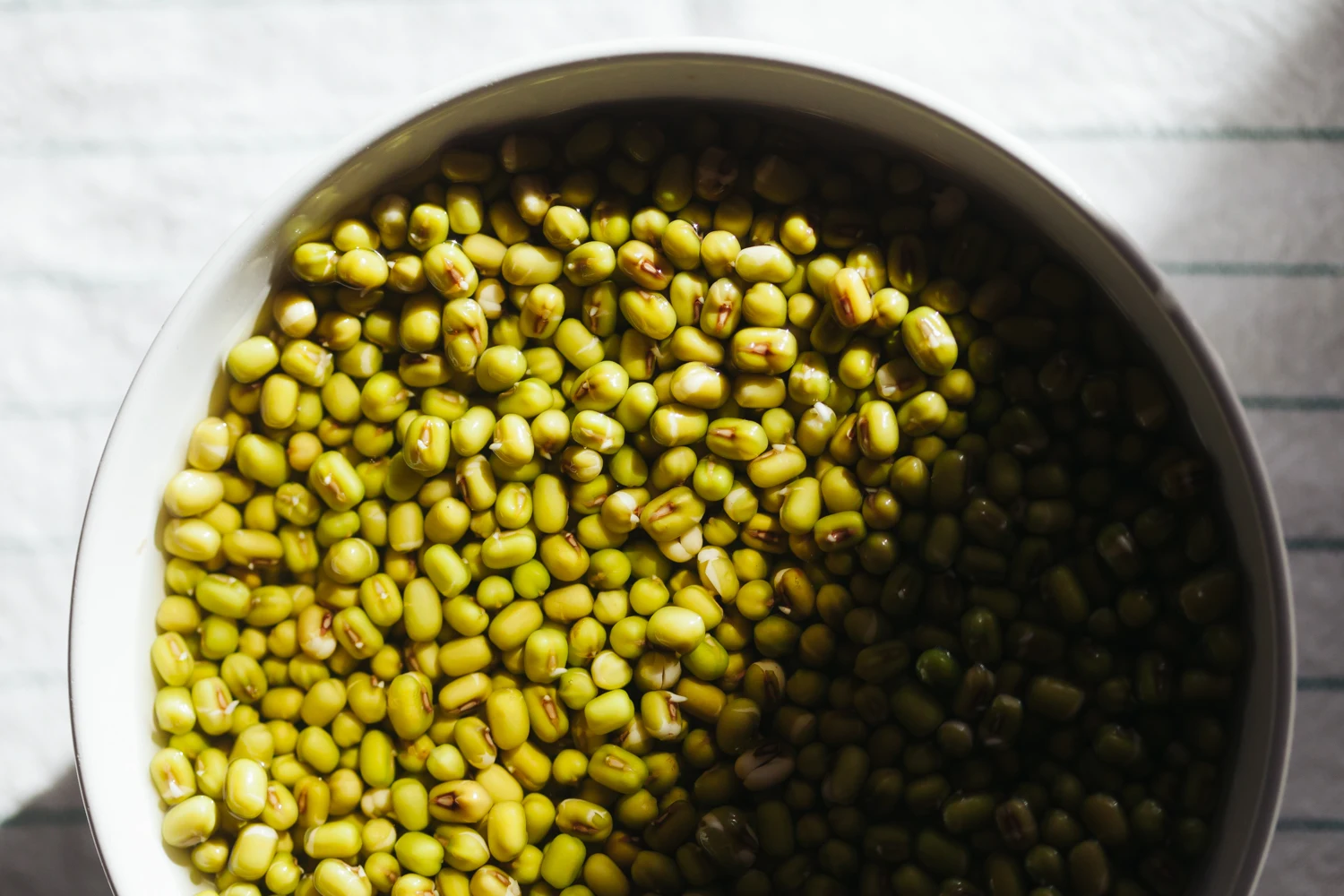 green mung bean moong dal sprout mung beans