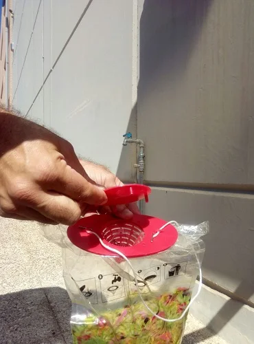 fly trap 8.jpg