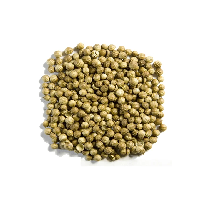 
Bulk Coriander Seed In Best Wholesale Price 