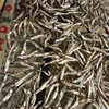 ALL SIZE VIETNAMESE ORIGINAL DRIED ANCHOVY WITH COMPETITIVE PRICE IN 2019
