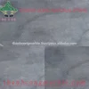 Bluestone Pool Paver