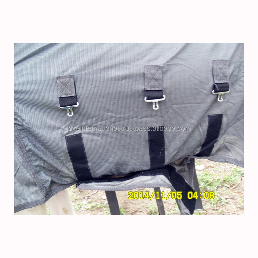 jifs-0401c.jpg