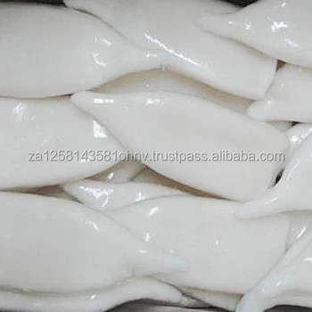 Tabung Cumi Cumi Kaliari Frozen Cincin Buy Calamari Squid Frozen Calamari Squid Tube Product On Alibaba Com
