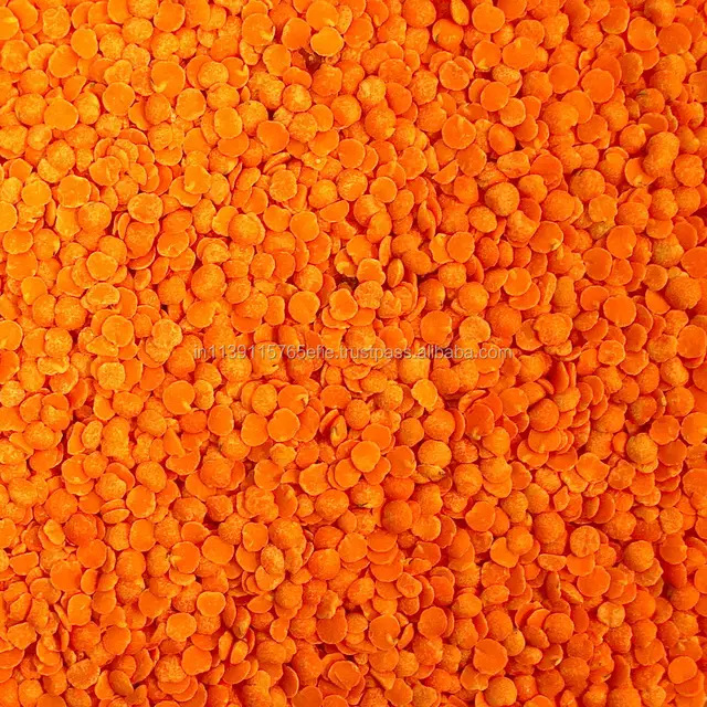 bulk red lentils