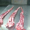 FROZEN BEEF TAIL