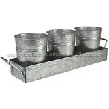 Planter and Tray.jpg