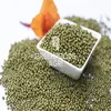 High Grade Green Mung Beans from Kenya