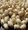 New Crop Round Shape Peanuts Kernels, Groundnut kernel