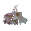 All Purpose Decoration New Design Sola Wood Flower